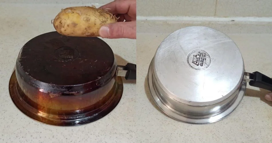 45GHGH76 950x500 1.jpg