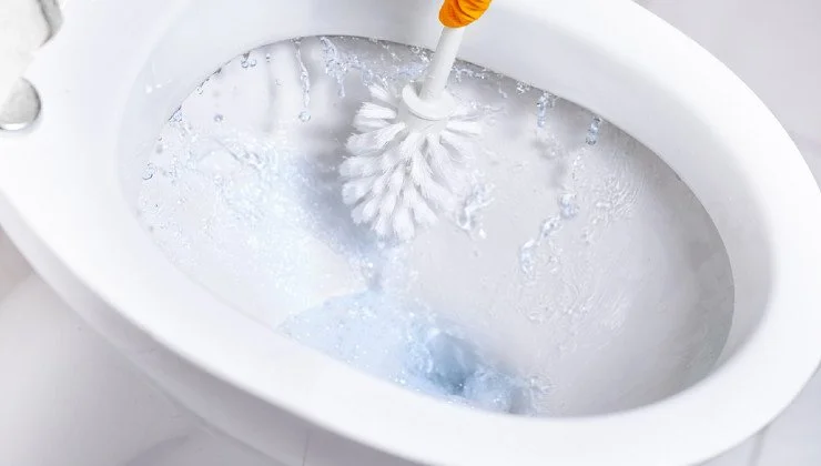 acido citrico wc.jpg