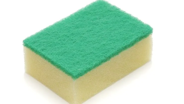 spugna nel freezer.jpg