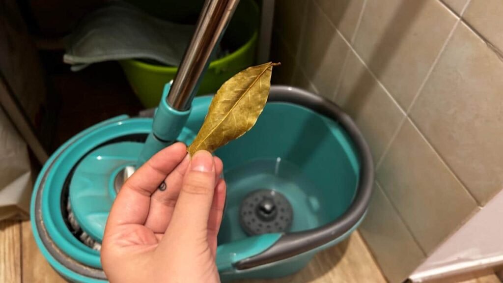 Alloro dentro il secchio dei pavimenti