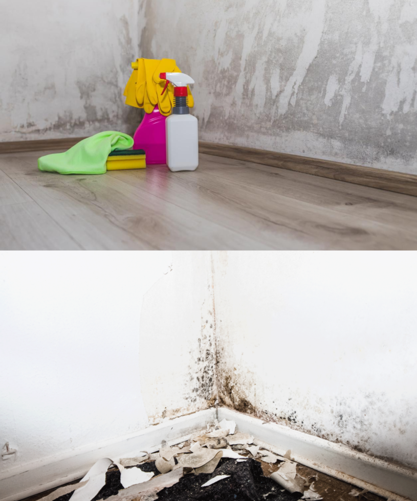 Details im ersten Kommentar 👇 2024 03 28T174212.945