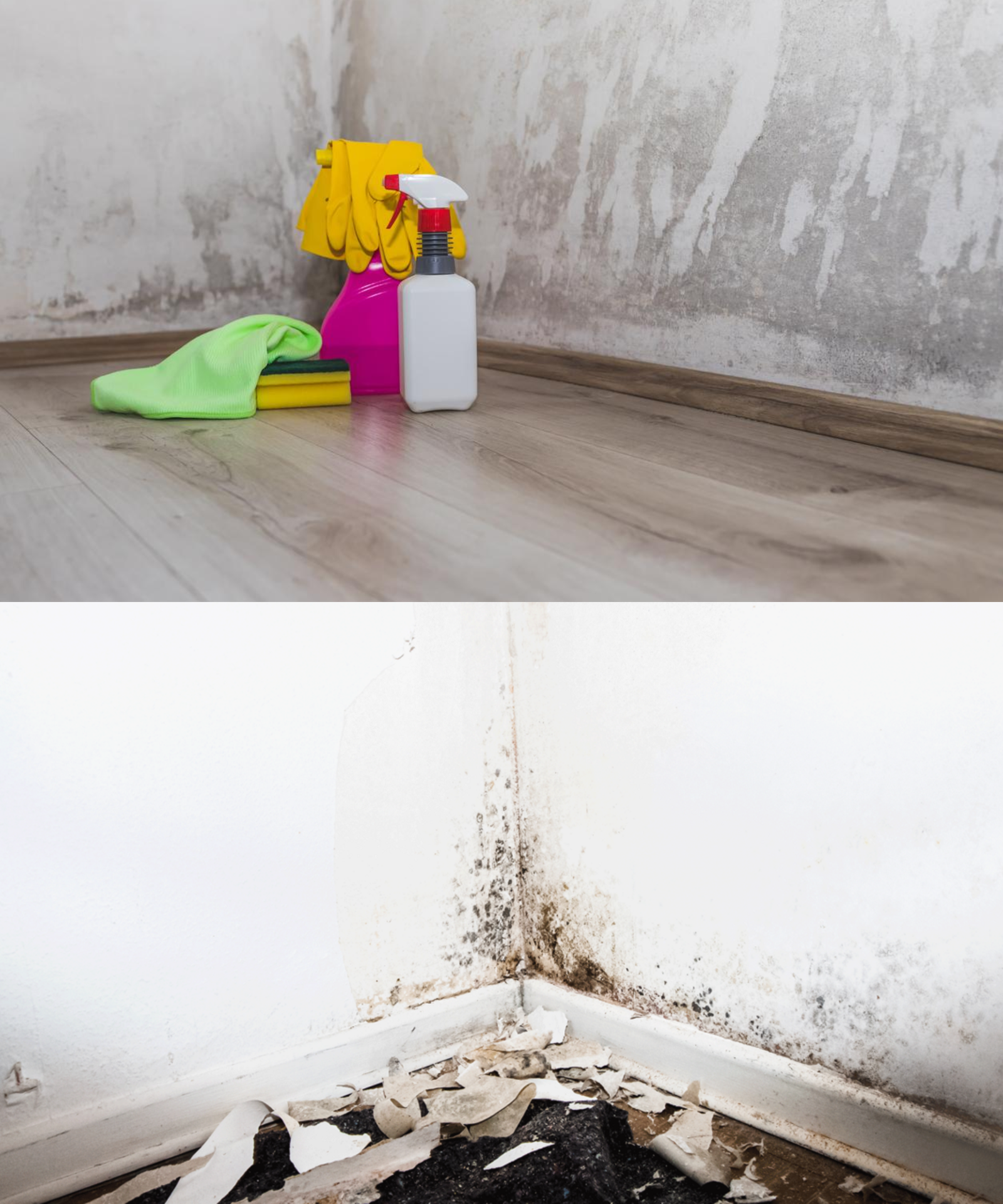 Details im ersten Kommentar 👇 2024 03 28T174212.945