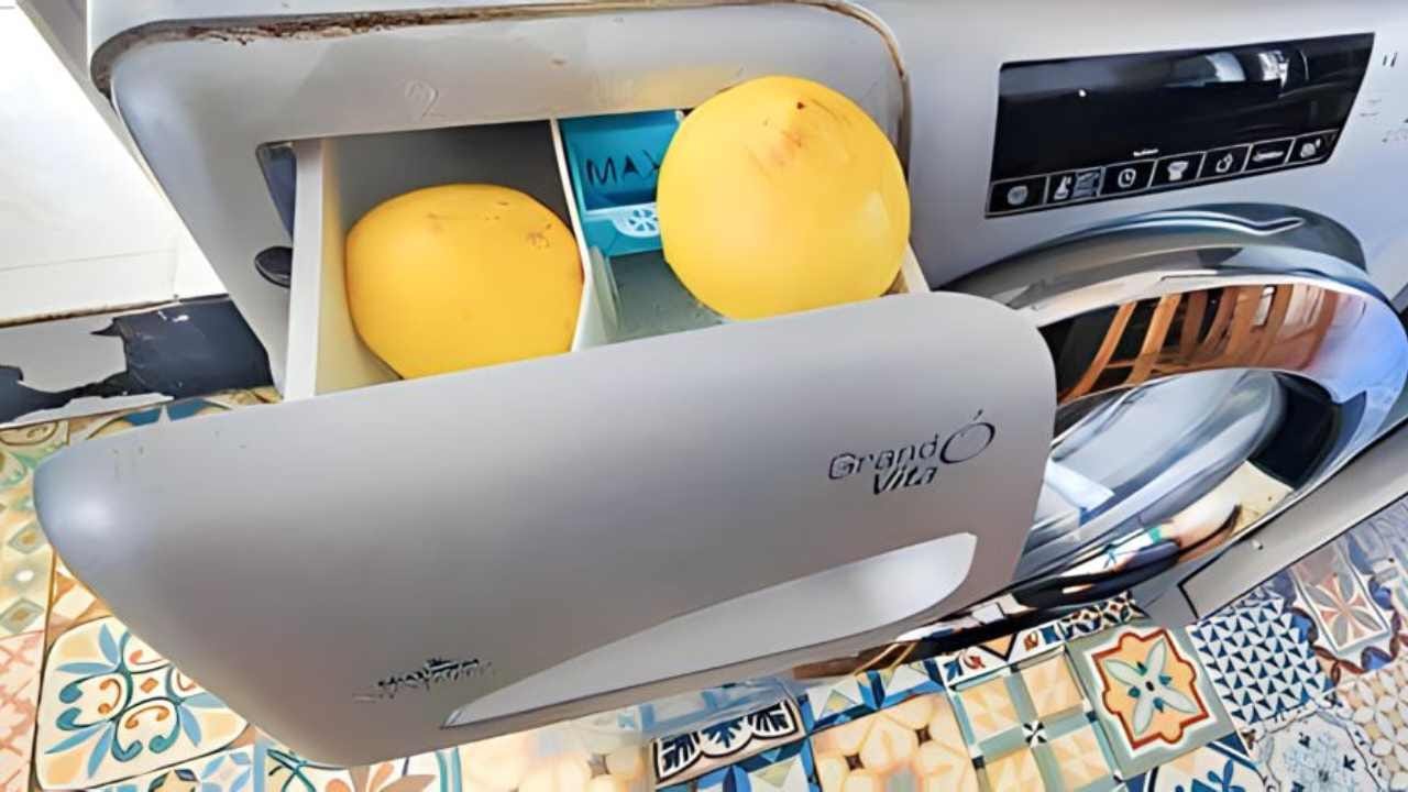 Limoni in vaschetta lavatrice