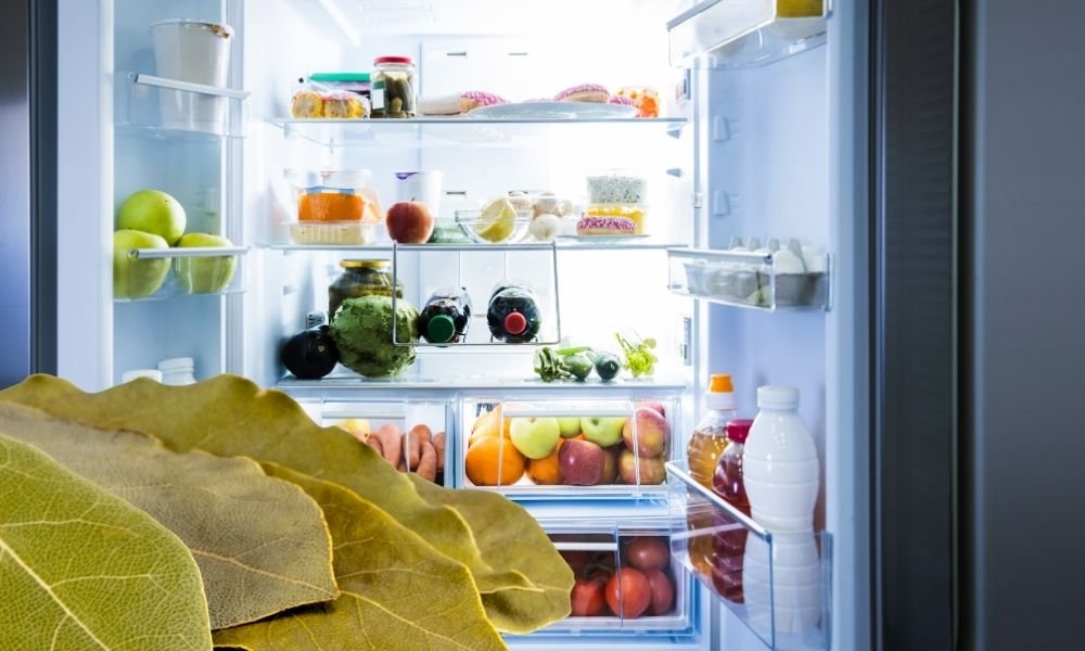 Por que nuestras abuelas ponian hojas de laurel en la nevera