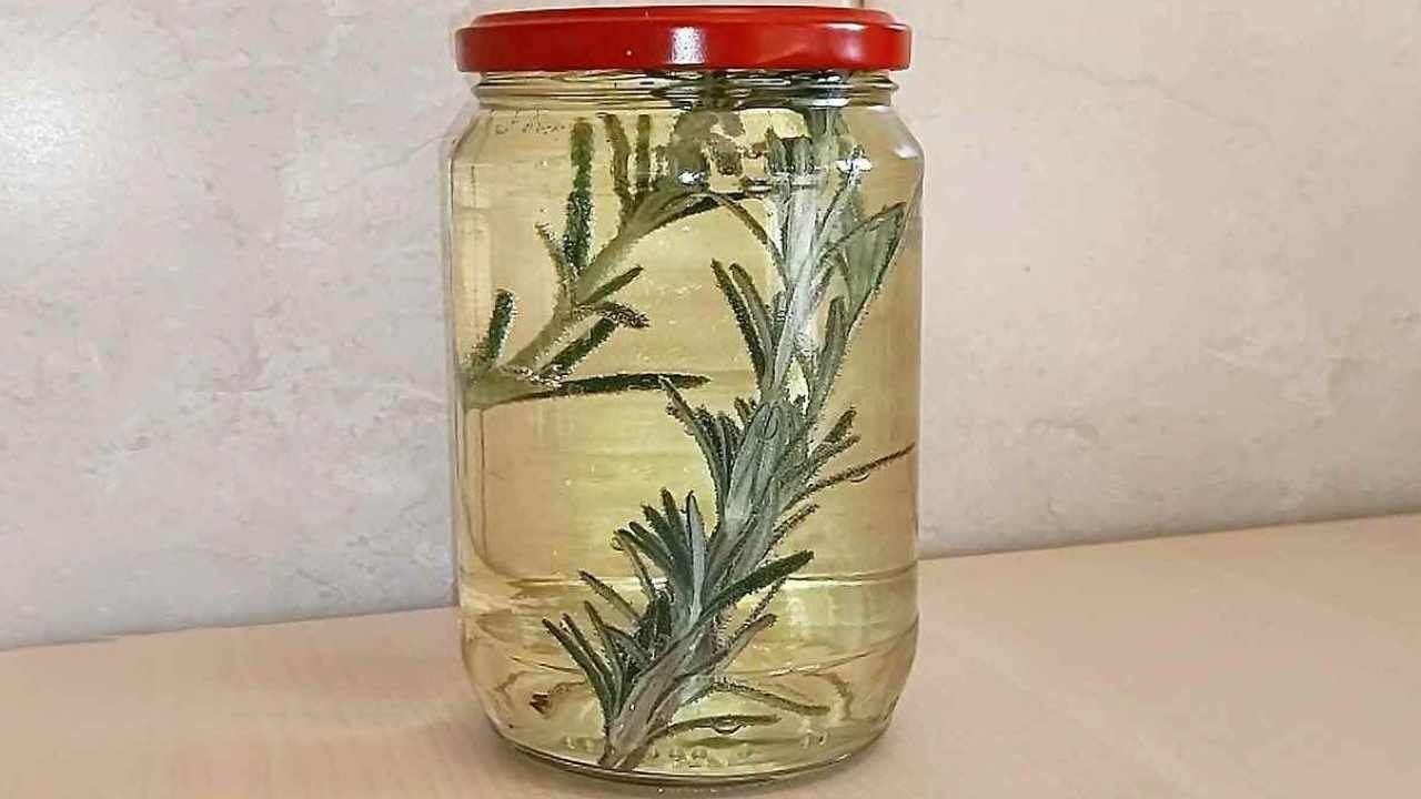 Rosmarin, tauchen Sie ihn in ein Glas mit Weißwein: hier ist der Grund ...