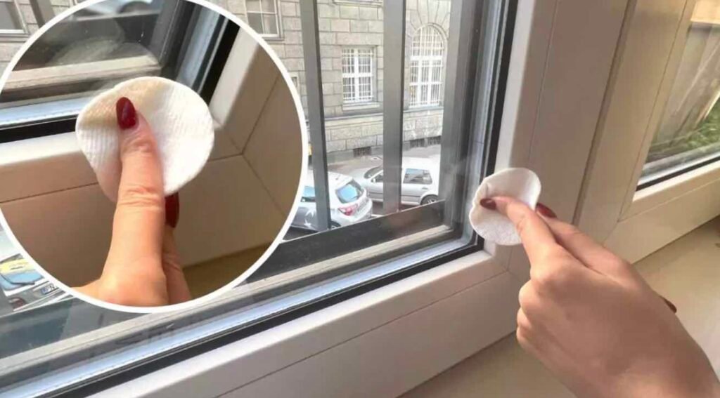 Snimka obrazovky 2022 11 06 o 8.02.38 1