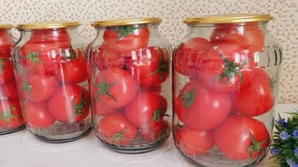 conserver des tomates pendant 2 ans sans utiliser aucun ingredient mais juste le four oui cest possible.jpg