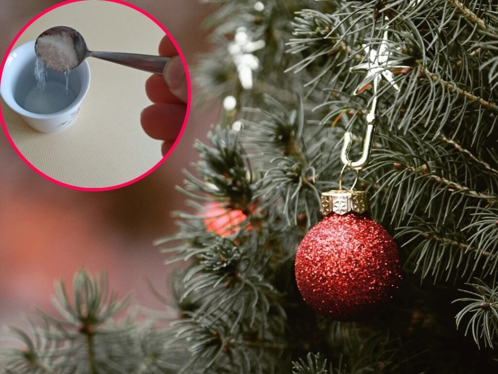 cukor Vianocny stromcek ako predlzit jeho zivotnost 1024x768 1