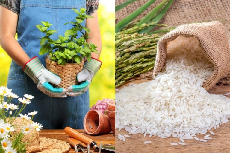 f768x1 1291443 1291570 5050