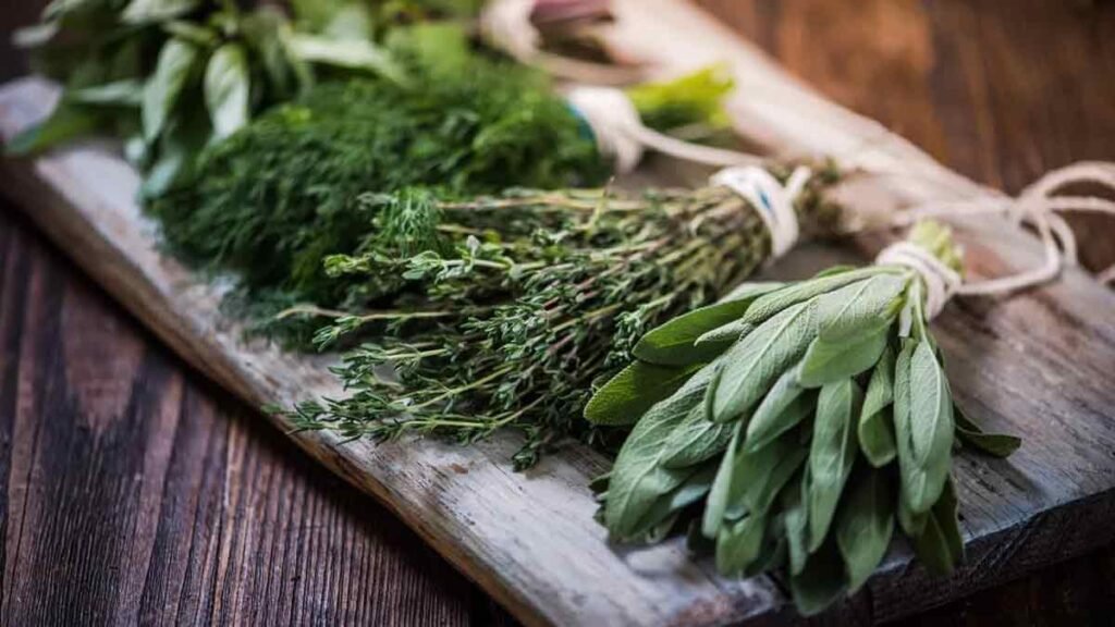 nos trucs super simples pour conserver vos herbes fraiches plus longtemps