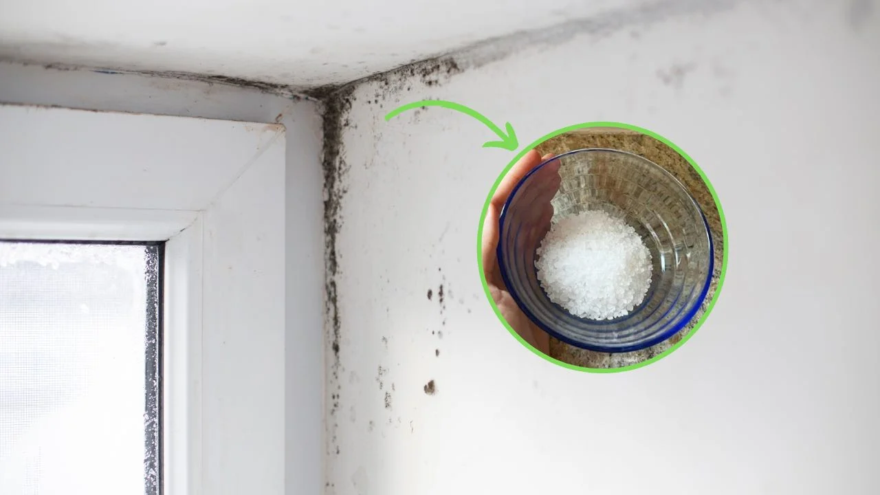 rimedio muffa angoli.jpg