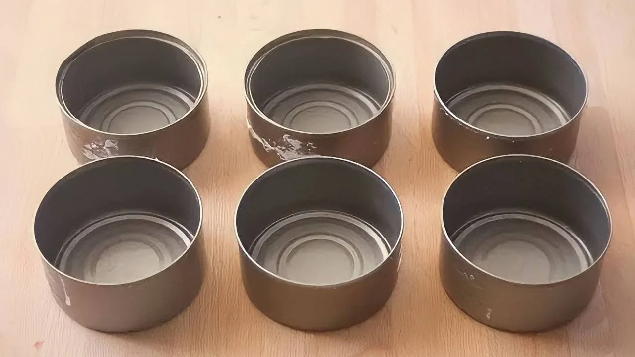 scatolette tonno vuote riutilizzo.jpg