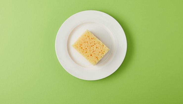 spugna per i piatti puzza
