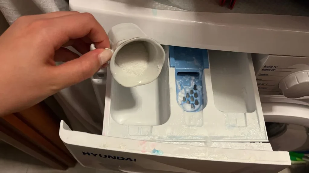 tazzina nella lavatrice .jpg