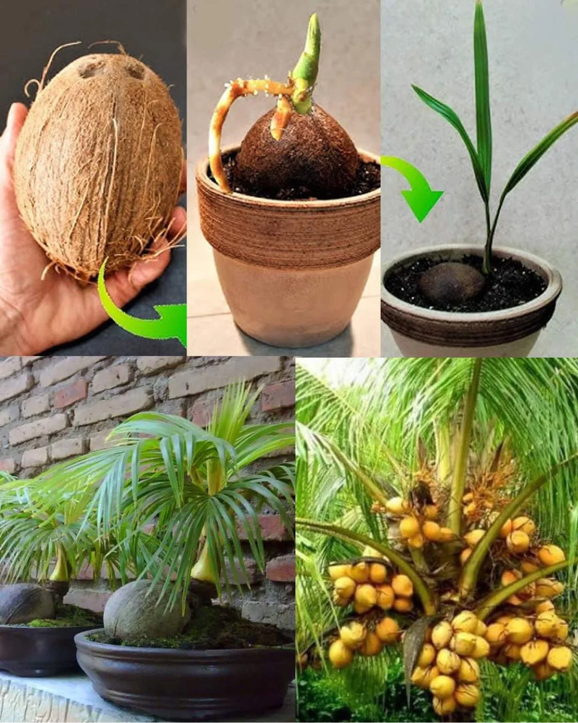 380360564 291559853624989 2561162821018199733 n