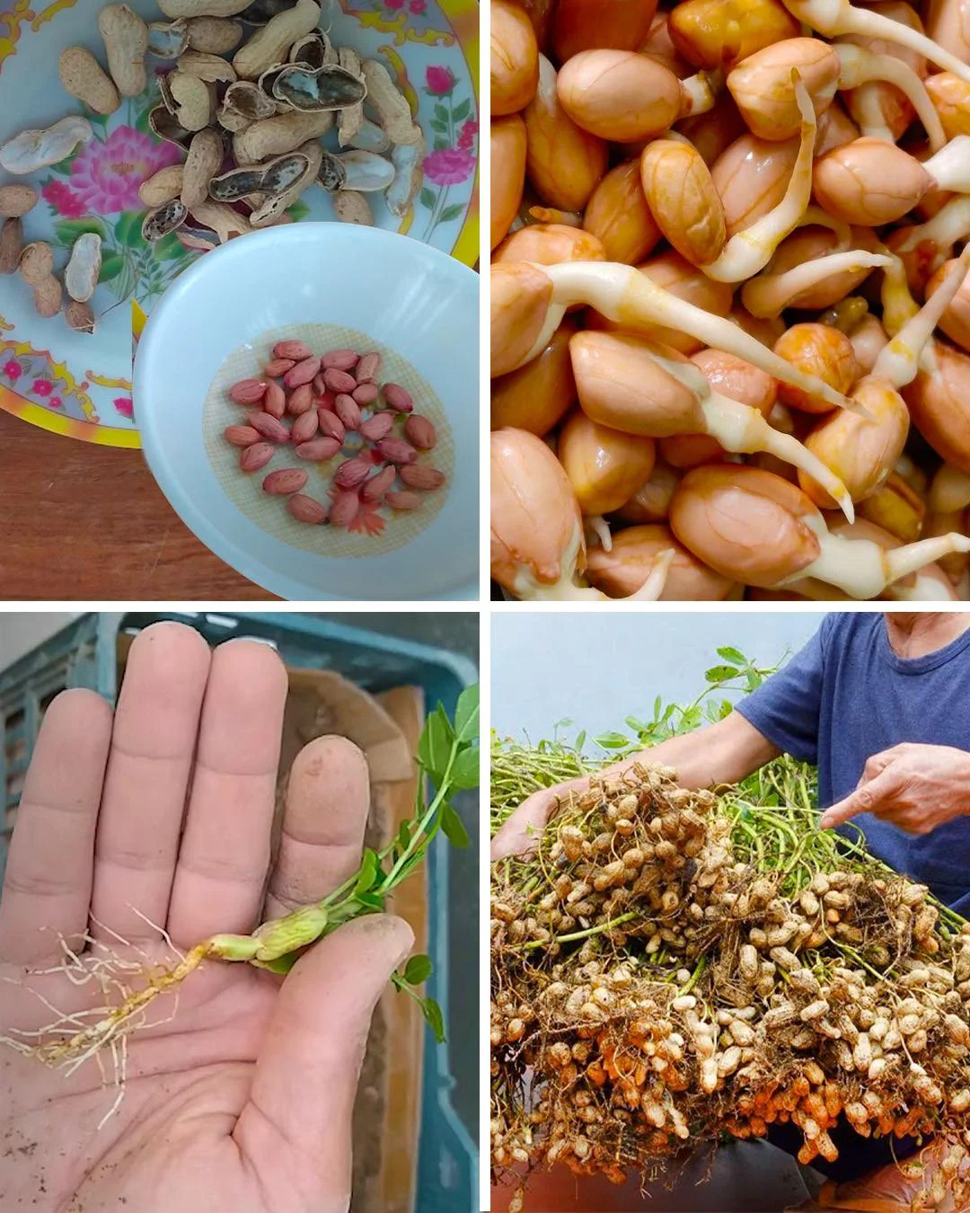 387861997 302880335826274 8637409114449396087 n