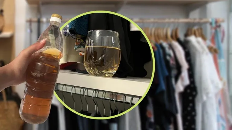 Aceto nellarmadio 768x432 1