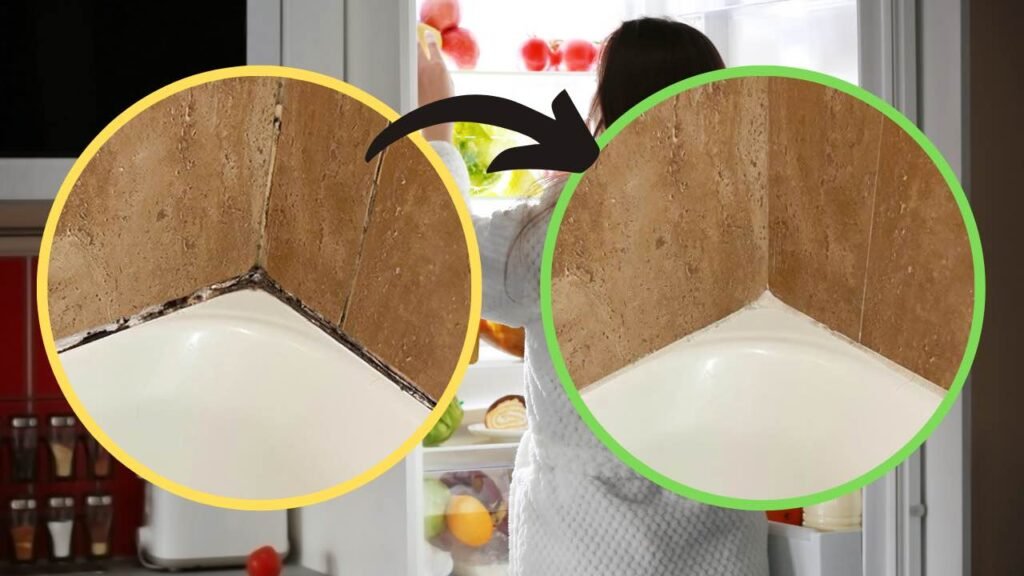 Binari doccia con muffa