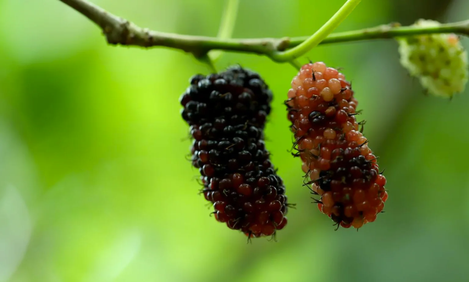 Design sans titre 35 1536x922.png