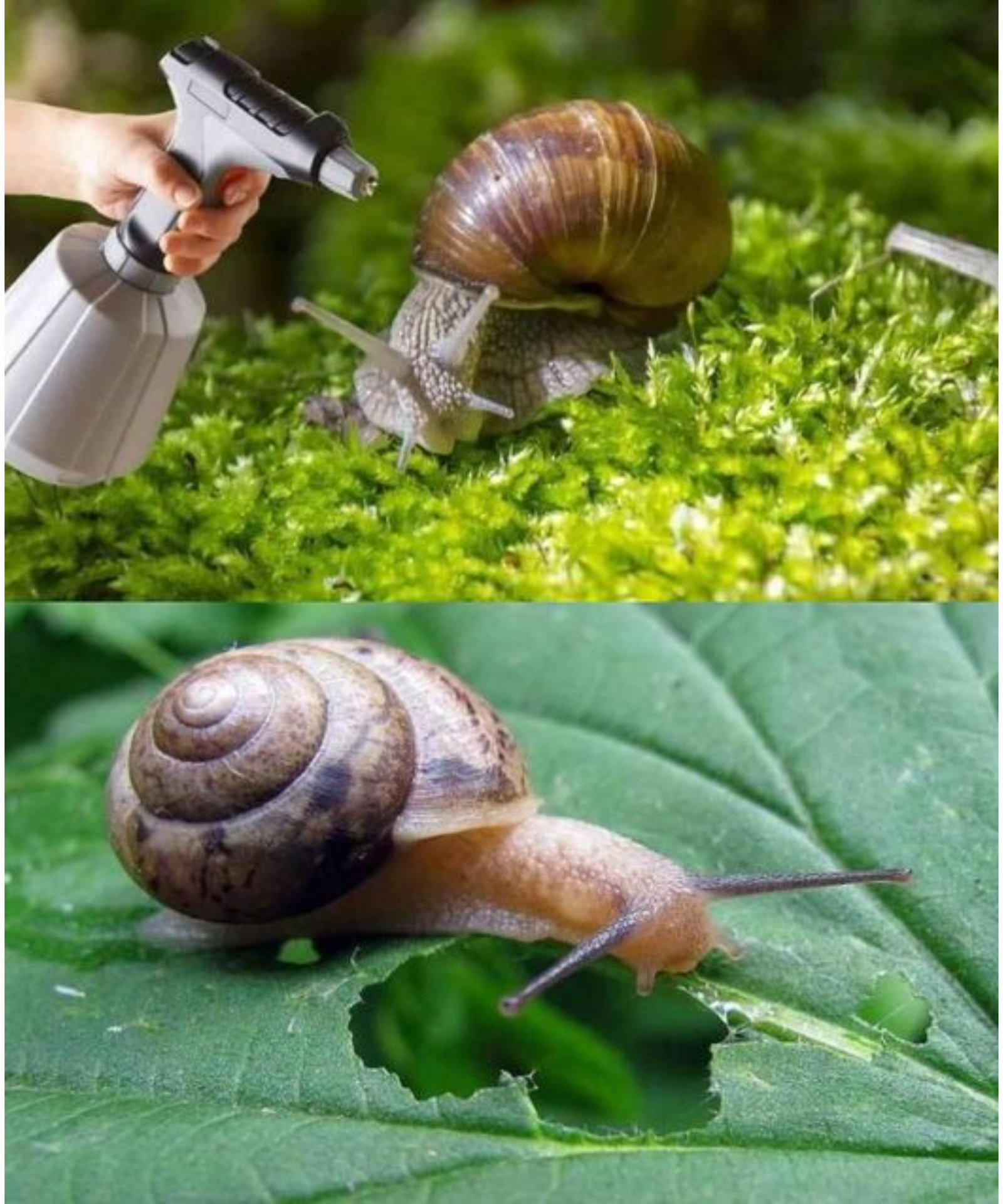 Details im ersten Kommentar 👇 63