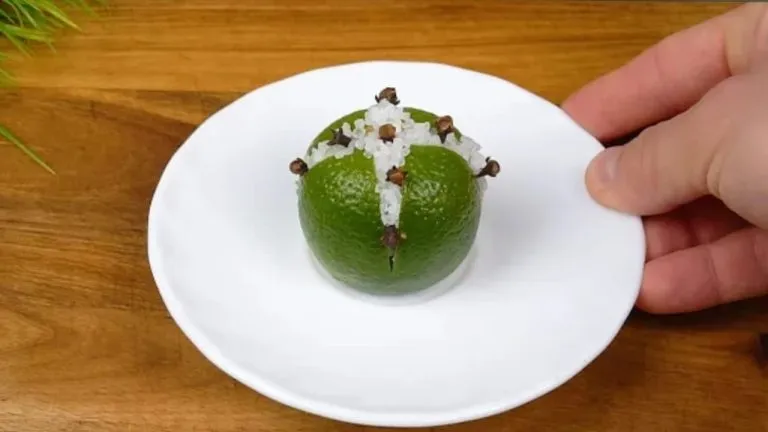 Elemento per mandare via insetti 768x432 1