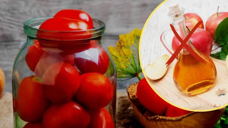 Pomodori freschi 768x432 1