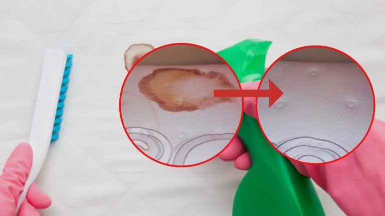 Sangue sul materasso 768x432 1