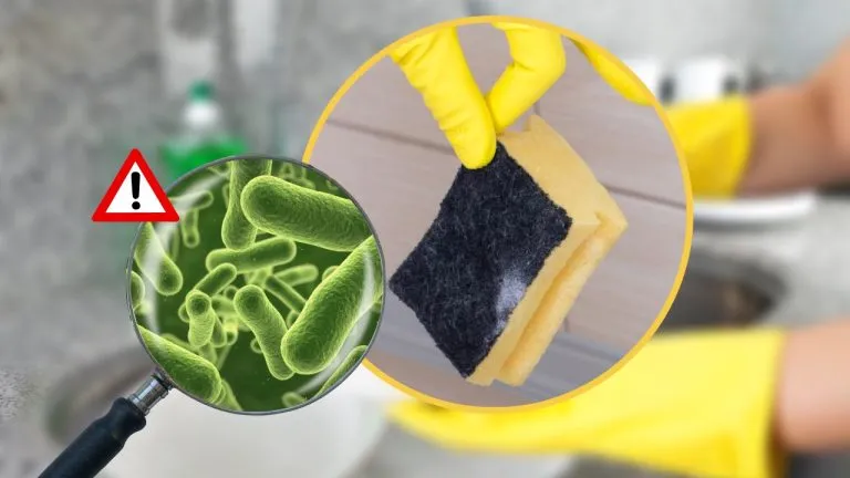 Spugna sporca 768x432 1