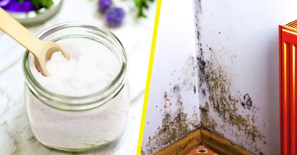 Voici comment fabriquer un absorbeur dhumidite facilement pour eviter les moisissures a la maison 1200x628 1