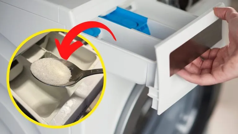 Zucchero in lavatrice 768x432 1