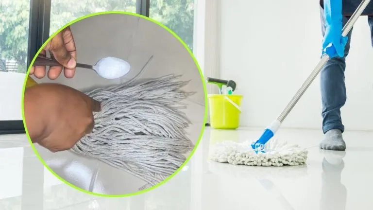 Zucchero mocio 768x432 1