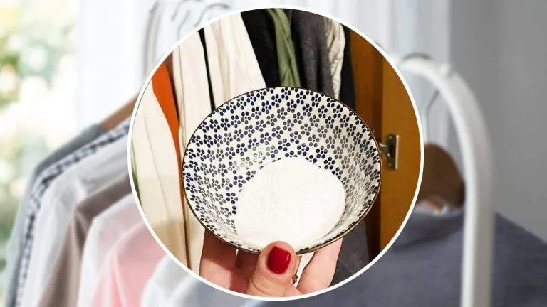 bicarbonato armadio benefici 768x432 1