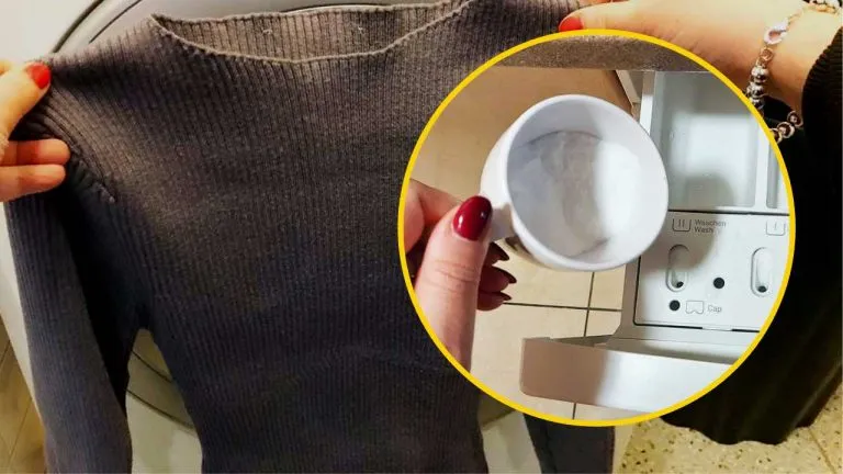 capi sbiaditi 768x432 1