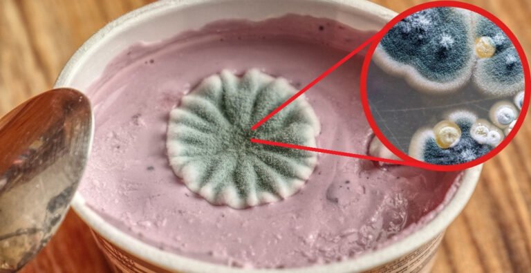 Wie man Lebensmittel im Kühlschrank aufbewahrt, damit sie nicht mit ...