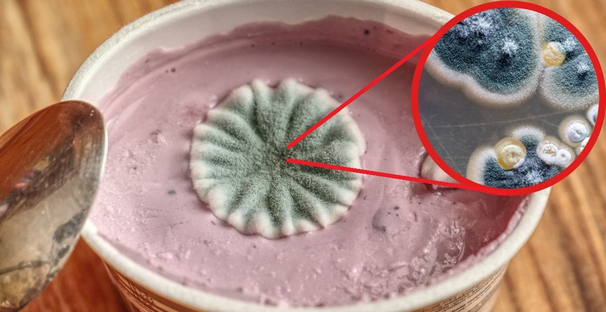 como guardar la comida en el refrigerador