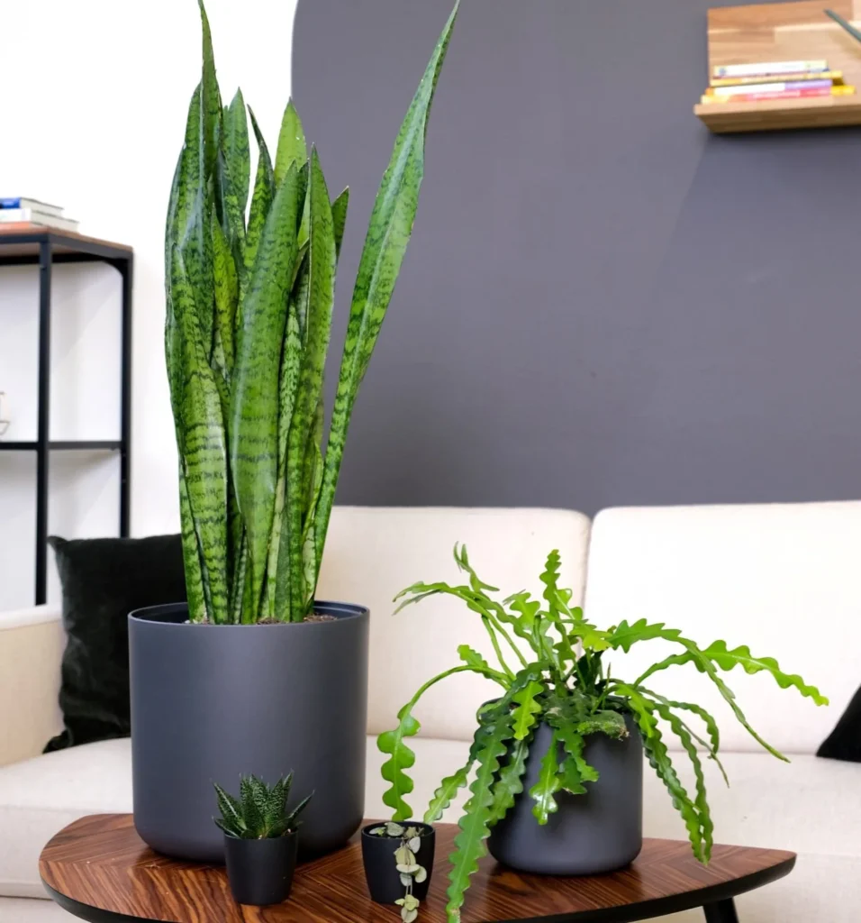 feey aRpUygGui2s unsplash 1434x1536 1.jpg 1