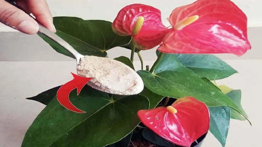 image 37 1024x576.png