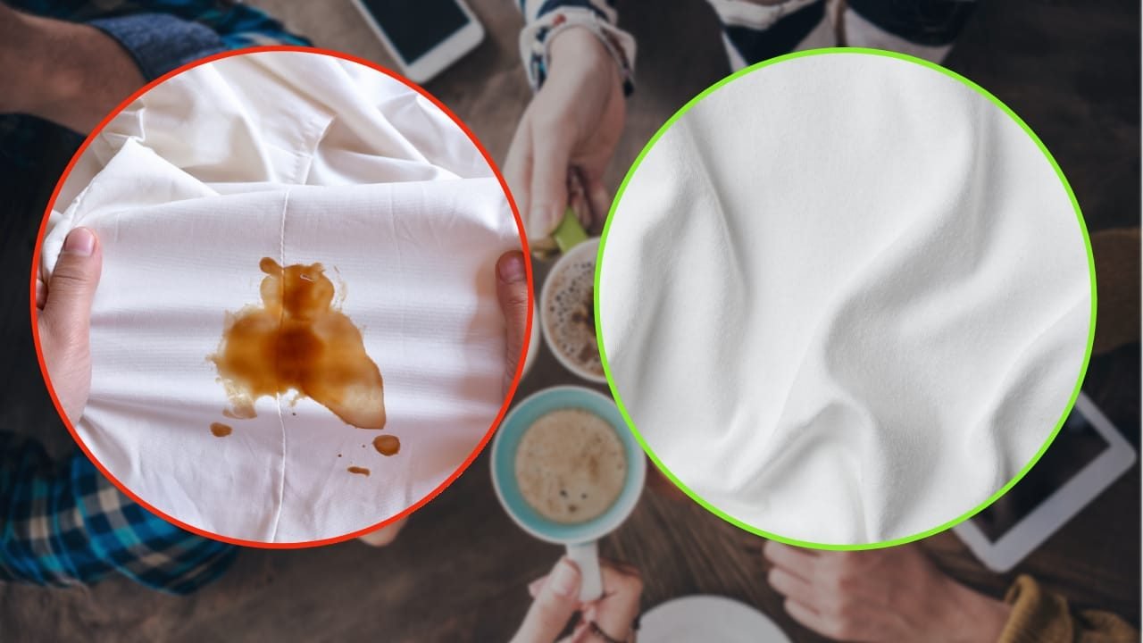 macchie caffe rimedi