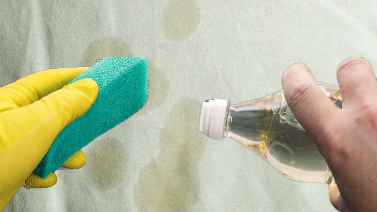 macchie di olio tovaglia