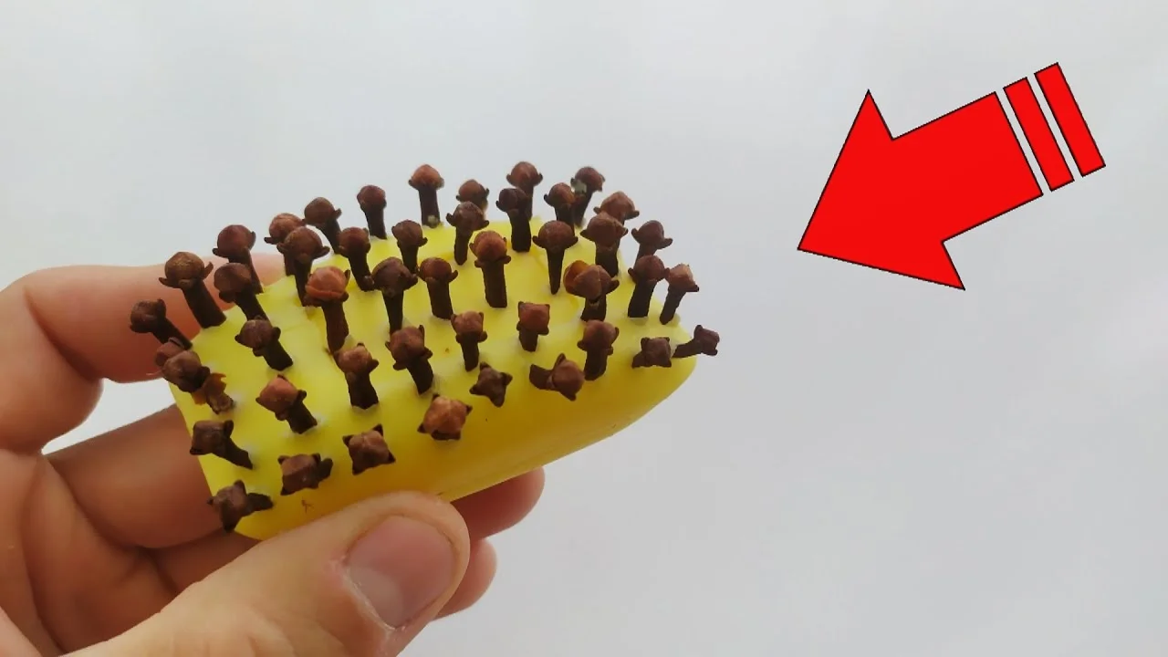 maxresdefault 4 3.jpg