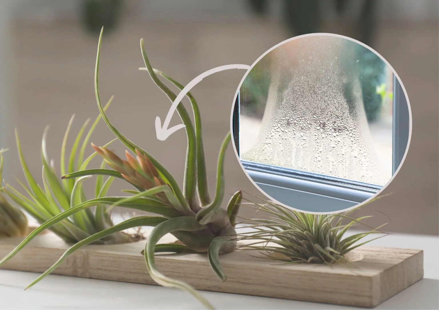 maxresdefault2 1 1536x1086.jpg