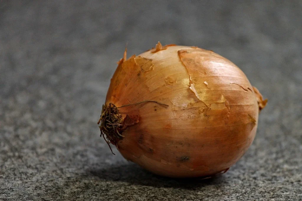 onion 3097116 1280.jpg 1