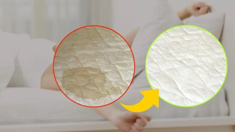 pipi macchie materasso 768x432 1