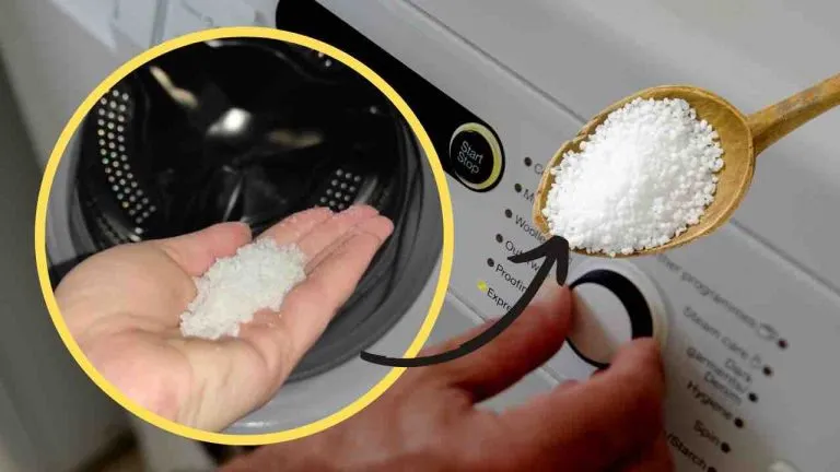 sale lavatrice 768x432 1