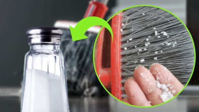 sale scopa 768x432 1