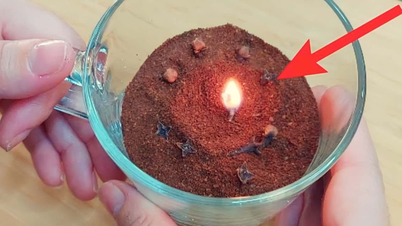 trucco per mosche e scarafaggi