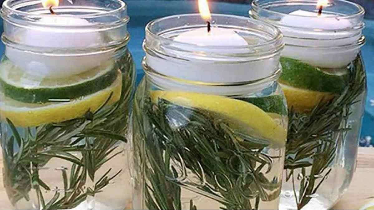 une astuce de grand mere utilisant le citron pour neutraliser tous les insectes et laisser une odeur agreable dans votre maison 1