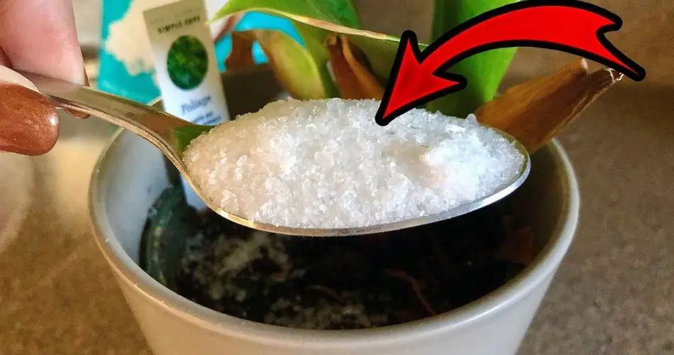 0230049444 950x500 1.jpg