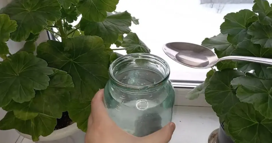 0304449 950x500 1.jpeg