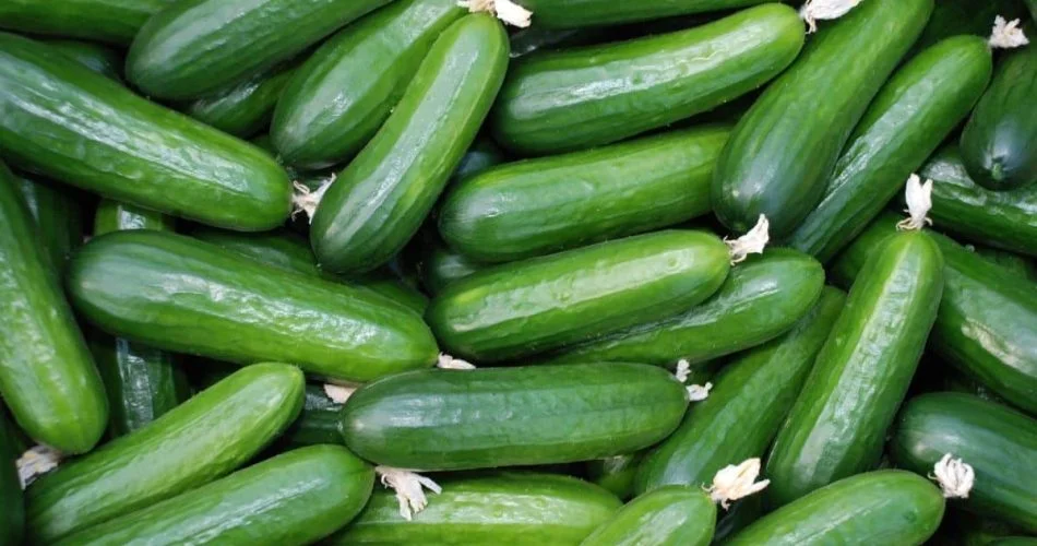 343455YH 950x500 1.jpg